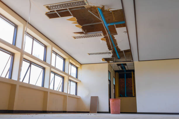 Best Flood damage cleanup  in Mount Pulaski, IL