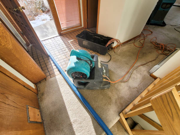 Best Flooded house restoration  in Mount Pulaski, IL