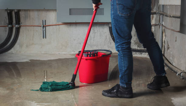Best Water damage restoration mold remediation  in Mount Pulaski, IL