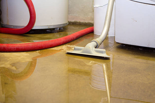 Water damage restoration experts in Mount Pulaski, IL